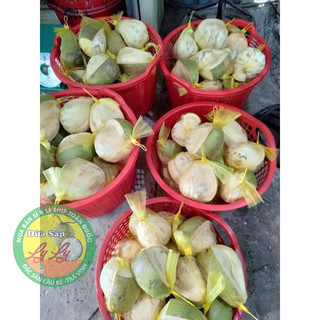 Combo 4 trái đặc biệt và 2 cây giống