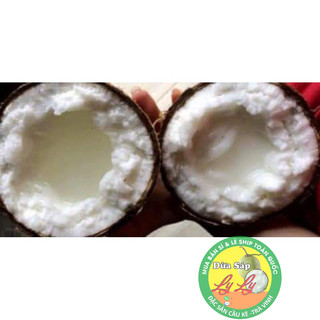 Combo 4 trái đặc biệt và 2 cây giống