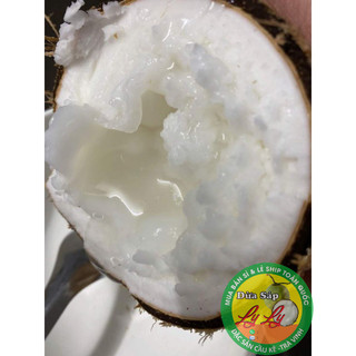 Combo 4 trái đặc biệt và 2 cây giống