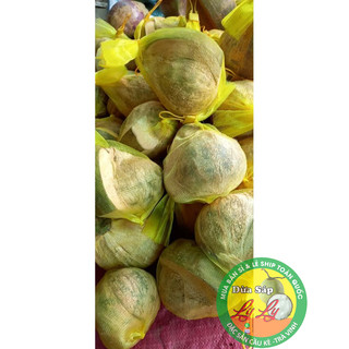 Combo 4 trái đặc biệt và 2 cây giống