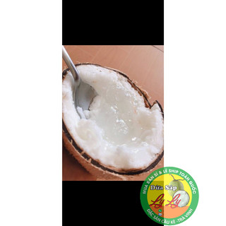 Combo 4 trái đặc biệt và 2 cây giống