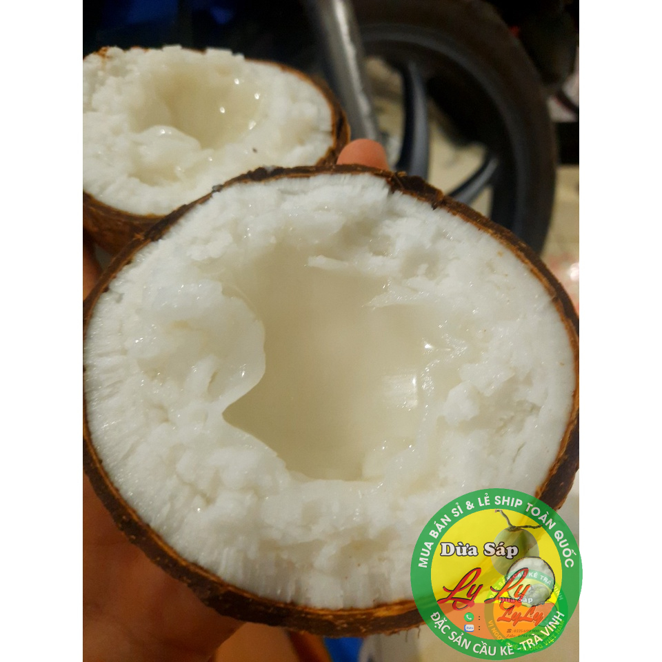 Dừa sáp 2 quả loại đặc biệt 2kg5