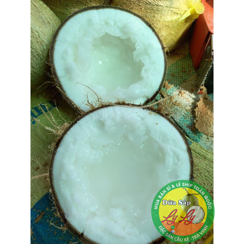 Combo 4 trái đặc biệt và 2 cây giống