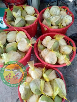 KẸO DỪA SÁP TÚI LẺ 100G