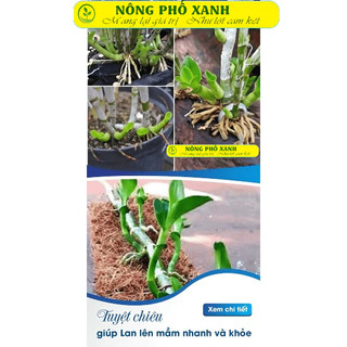 20  mét túi lưới đựng phân tan chậm