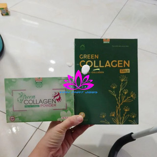 [Phân Loại] Diệp Lục Collagen Chính Hãng - Bí Quyết Của Sắc Đẹp