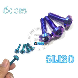 Ốc Titan GR5 5li20 Đầu Dù Gắn bợ cổ Winner, Đồng hồ Winner X (Giá 1 con)