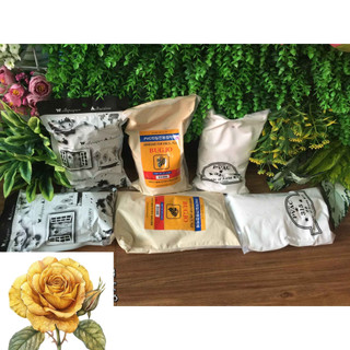 Keo Sữa Dán Giấy, dán simili, dán thảm, dán gỗ...