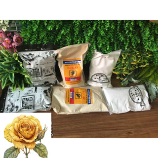 Bịch keo bột dán giấy