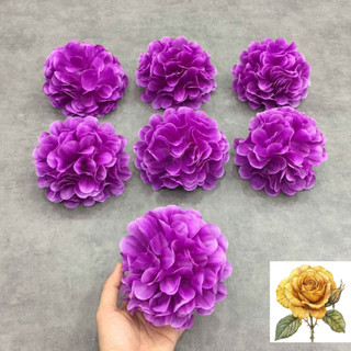 Hoa cẩm tú cầu màu tím
