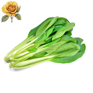 [ Sale] Hạt giống rau cải ngọt