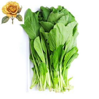 [ Sale] Hạt giống rau cải ngọt