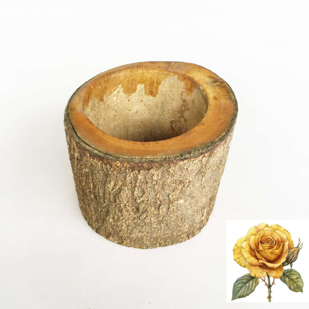 Lọ hoa - chậu cây bằng gỗ gốc cây - còn nguyên vỏ cây