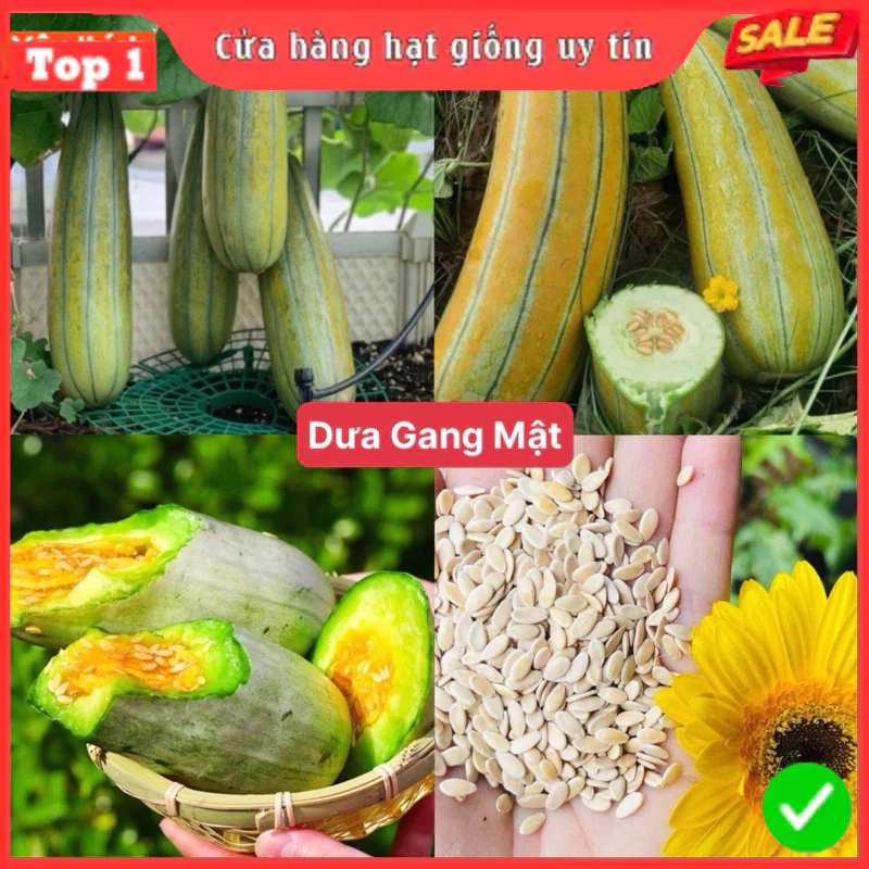 HẠT GIỐNG DƯA GANG MẬT CHUẨN F1 DỄ TRỒNG NĂNG SUẤT CAO