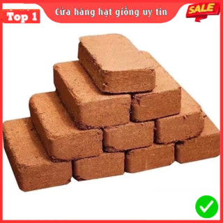 Combo 10 Viên Đất Trồng Cây Hữu Cơ (Tặng 7 Quà) Viên Đất Nén Xơ Dừa Tiện Ích Sạch Sẽ, Giữ Ẩm Cho Đất