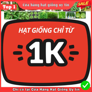  Hạt giống Rau Củ Quả Dễ Trồng Tỷ Lệ Nảy Mầm Cao Hạt Giống Chuẩn F1 Cao Cấp 