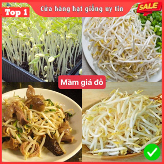 Hạt giống mầm giá đậu xanh ( giá đỗ ) siêu dễ trồng kháng bệnh tốt năng suất cao