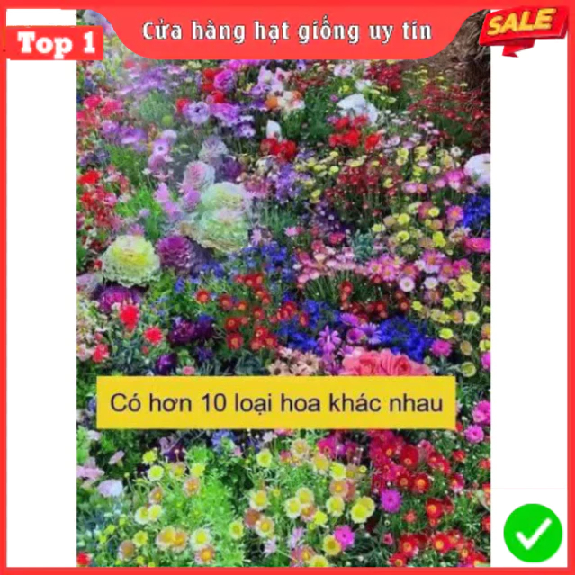 Hạt Giống Hoa Tổng Hợp siêu đẹp dễ trồng tỉ lệ nảy mầm 98% hoa nở 4 mùa (Gói 500 hạt)