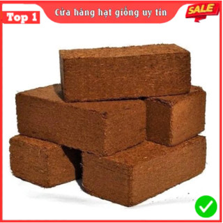 Combo 5 Viên Đất Trồng Cây Hữu Cơ (Tặng 7 Quà) Viên Đất Nén Xơ Dừa Tiện Ích, Sạch Sẽ, Giữ Ẩm Cho Đất