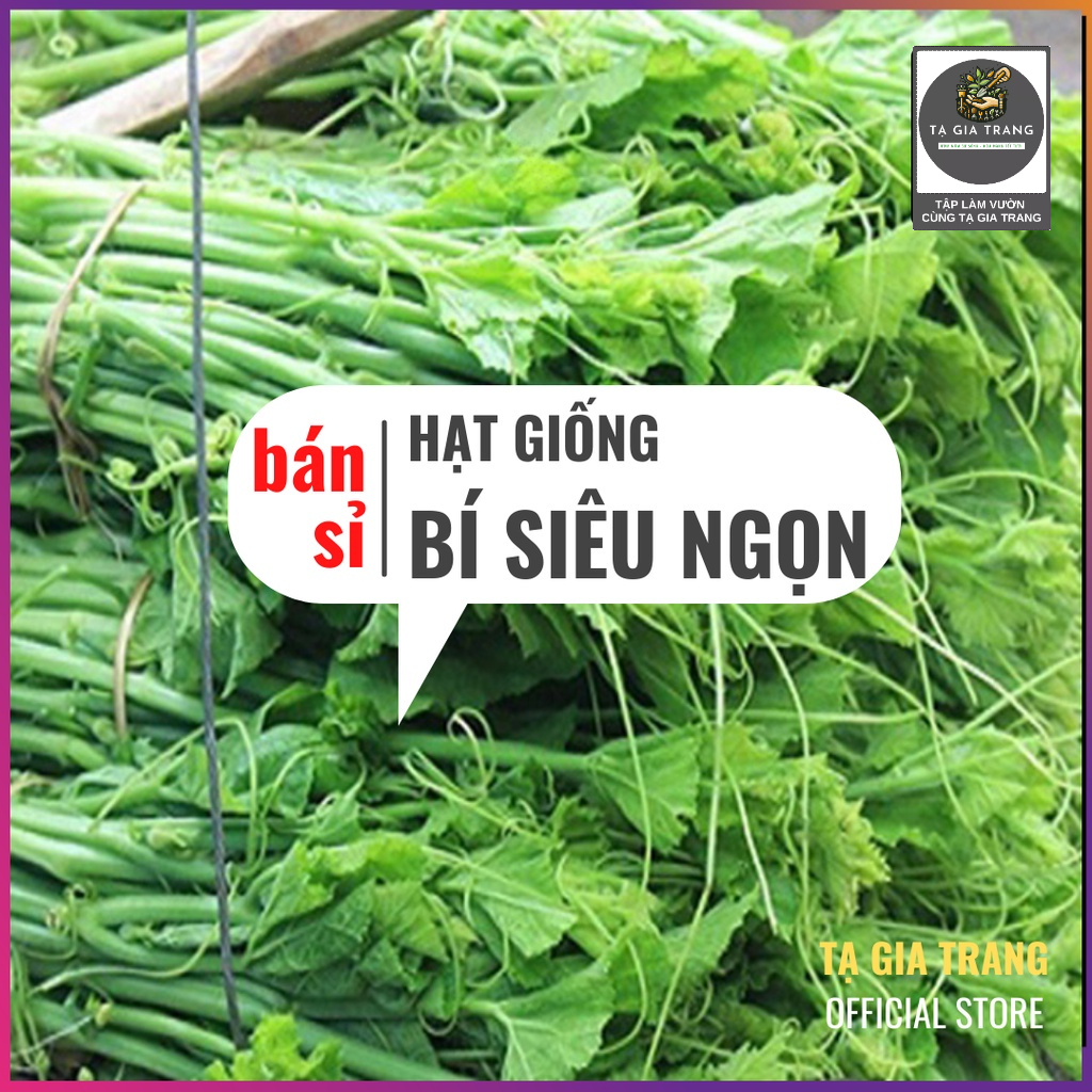 [Bán sỉ] - Hạt giống bí siêu ngọn (bí siêu đọt) - Shop hạt giống Tạ Gia Trang