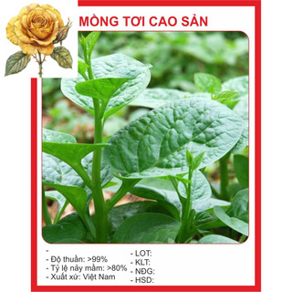[ Sale] Hạt Giống Tốt Rau Mồng Tơi