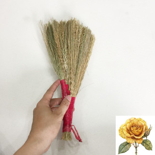 Combo chổi quét bếp và đồ hót rác mini