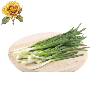 [ Sale] Hạt giống hành hương - hành lá