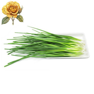 [ Sale] Hạt giống hành hương - hành lá