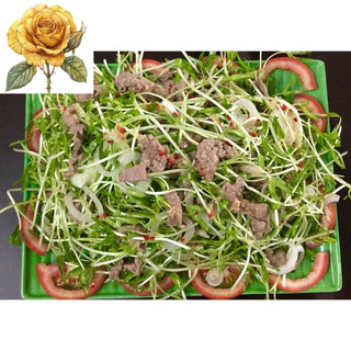 [ Sale] Hạt giống rau cải mầm
