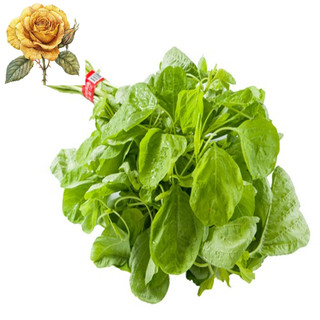 [ Sale] Hạt Giống Rau Dền