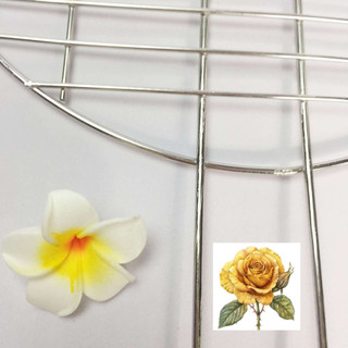 Vỉ nướng inox tròn cao cấp 25cm