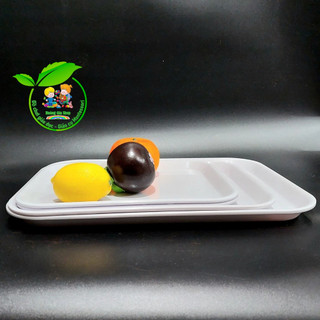 Khay nhựa Montessori 20x27cm