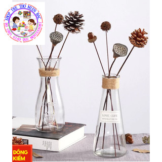 THCS - Bình thả hạt, bình cắm hoa