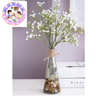 THCS - Bình thả hạt, bình cắm hoa