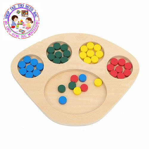 Khay phân loại màu Montessori