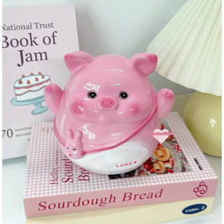 Heo đất tiết kiệm HEO ĐEO TÚI THỎ cute (lỗ tròn/ngang - giao ngẫu nhiên) 3 size | trang trí, ống nhét tiền Tiemmeso