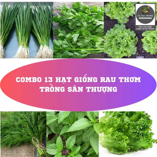 Deal 10K - Combo 13 loại hạt giống rau thơm trồng sân thượng đầy đủ - Tập làm vườn cùng Tạ Gia Trang