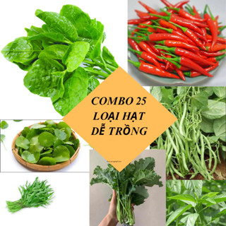 Combo 25 loại Hạt giống Rau củ quả phổ biến cho người mới tập trồng