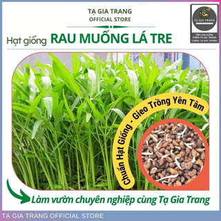[Top bán chạy] - Hạt giống rau muống lá tre - Shop hạt giống Tạ Gia Trang