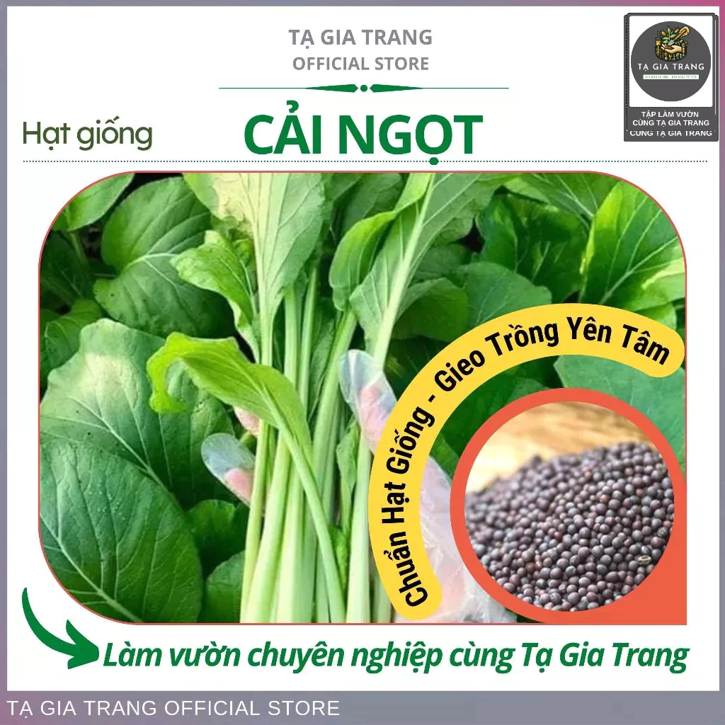 Hạt Giống Rau Cải Ngọt Cọng Xanh - Shop Hạt Giống Tạ Gia Trang