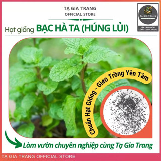 Hạt giống rau bạc hà ta (húng lủi) trồng quanh năm - Shop hạt giống Tạ Gia Trang