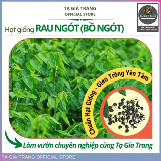 Hạt giống rau ngót ta (rau bồ ngót) - Shop hạt giống Tạ Gia Trang