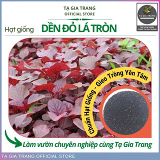 Hạt giống rau dền đỏ lá tròn - Shop hạt giống Tạ Gia Trang