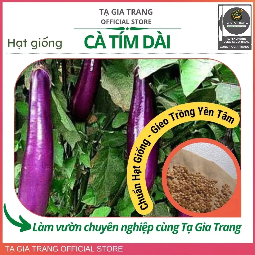 Hạt giống cà tím dài ruột xanh