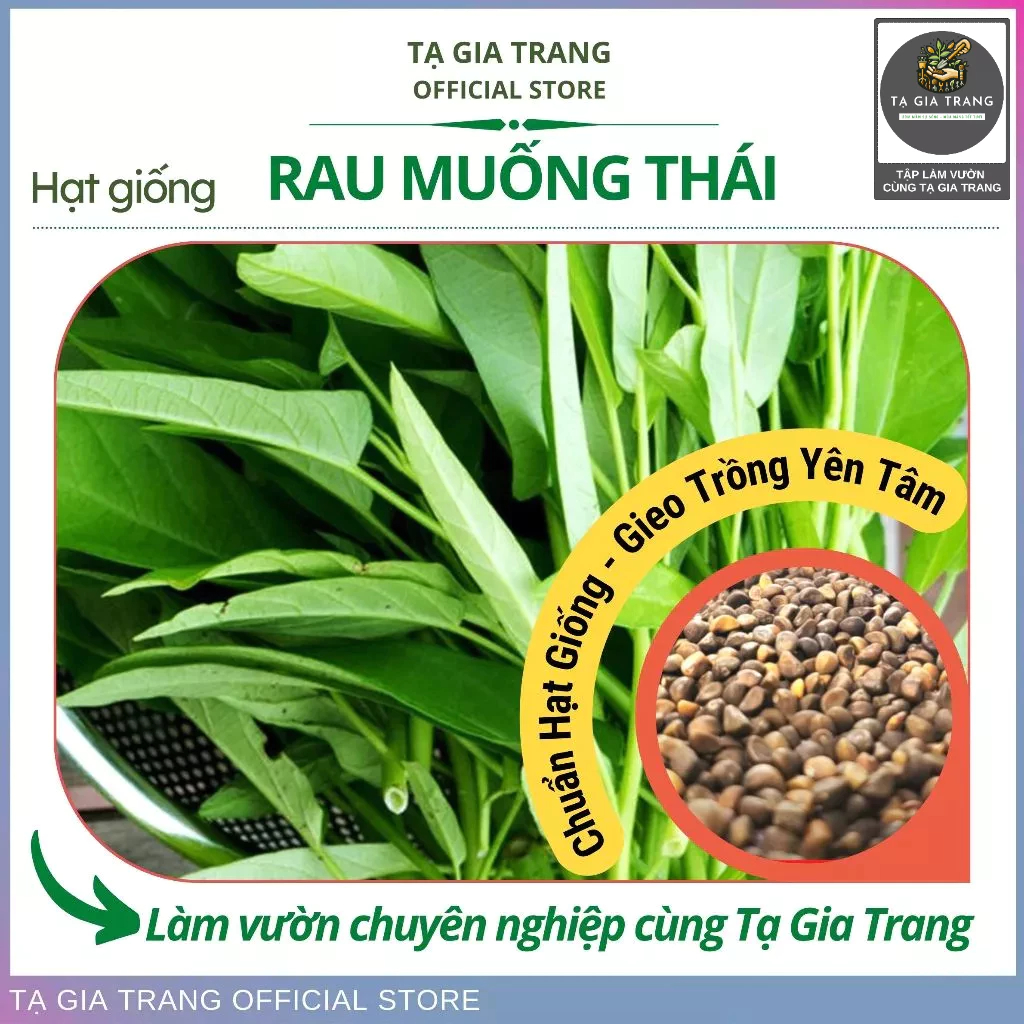 Hạt giống rau muống Thái Lan - Shop hạt giống Tạ Gia Trang