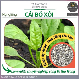 Hạt Giống Rau Cải Bó Xôi Chịu Nhiệt - Rau Chân Vịt, Rau Bina - Shop Hạt Giống Tạ Gia Trang
