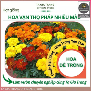 Hạt giống hoa vạn thọ Pháp các loại - Shop hạt giống Tạ Gia Trang