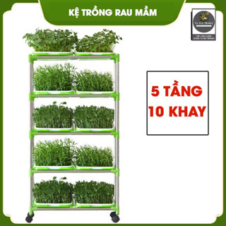  Bộ kit kệ khay trồng rau mầm thủy canh chuyên dụng - 5 tầng 10 khay 