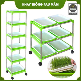 Kệ khay trồng rau mầm thủy canh chuyên dụng 2, 3, 4, 5, 6 tầng