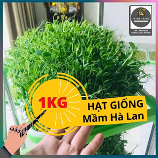 1Kg hạt giống rau mầm Đậu Hà Lan - Thế giới rau mầm Tạ Gia Trang